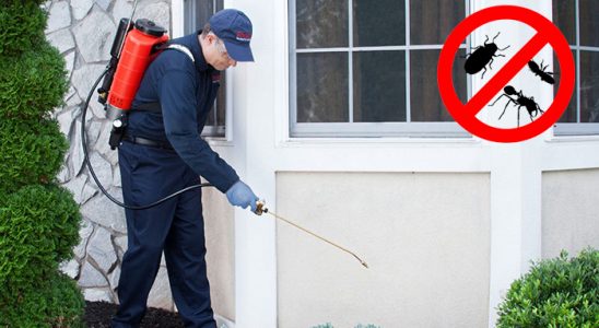 Dodurga Kene İlaçlama böcek ilaçlama ve haşere kontrolü — ilaclama-tr.com